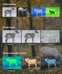 shop_property_file_45533_11733