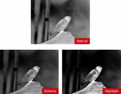 shop_property_file_45539_11749