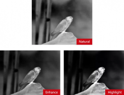 shop_property_file_45542_11755