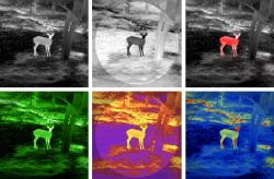 shop_property_file_45542_11756