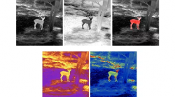 shop_property_file_45544_11765