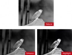 shop_property_file_45575_11829