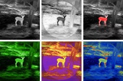 shop_property_file_45575_11830