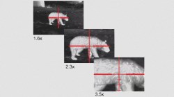 shop_property_file_45583_11843