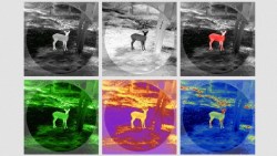 shop_property_file_45583_11844