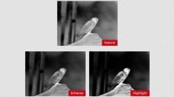 shop_property_file_45583_11845