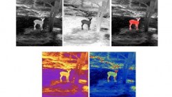 shop_property_file_45619_11915